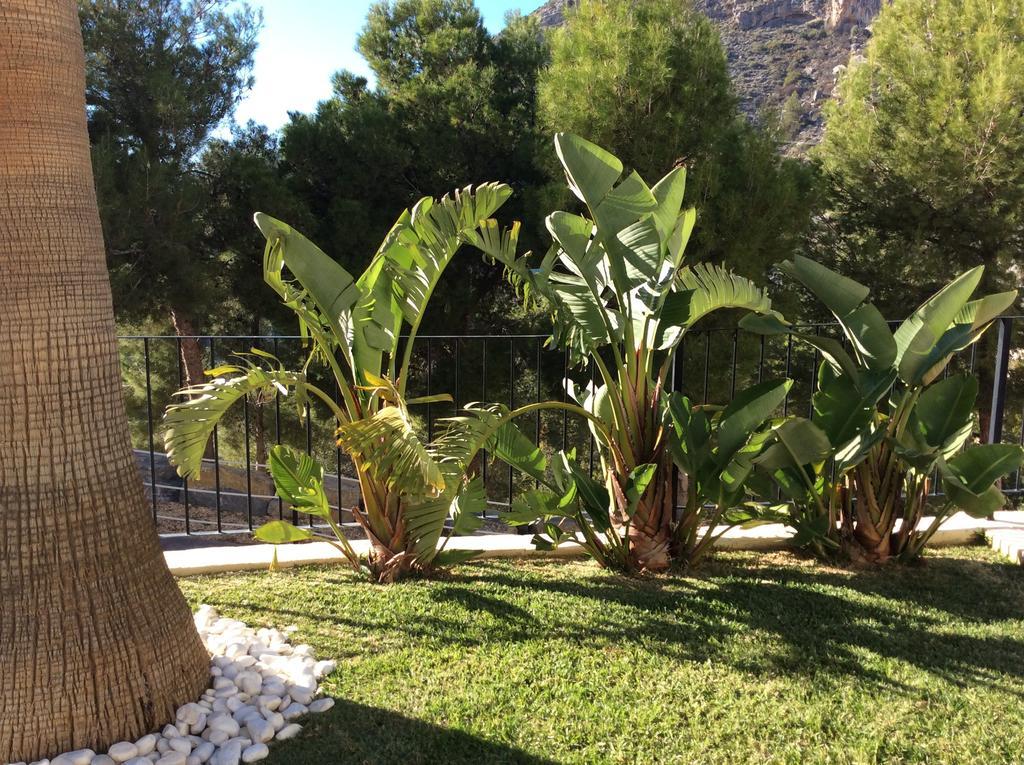 אלתיאה Olivos Holiday Home חדר תמונה
