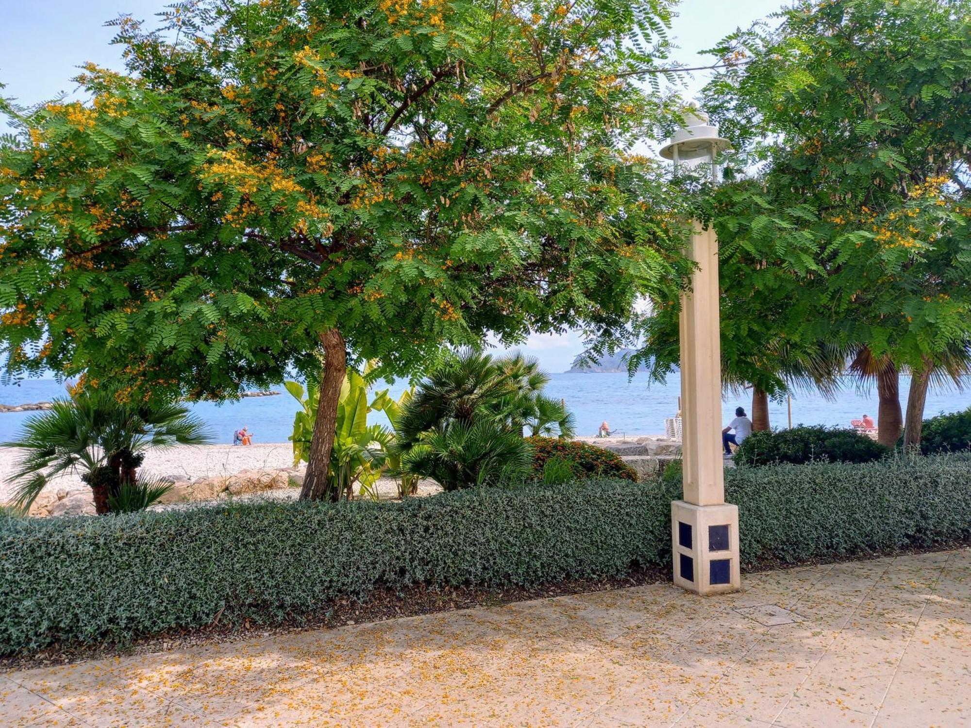 אלתיאה Olivos Holiday Home מראה חיצוני תמונה