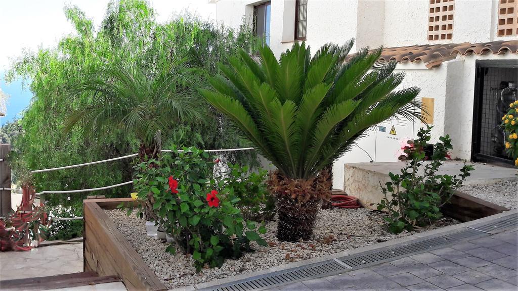 אלתיאה Olivos Holiday Home מראה חיצוני תמונה